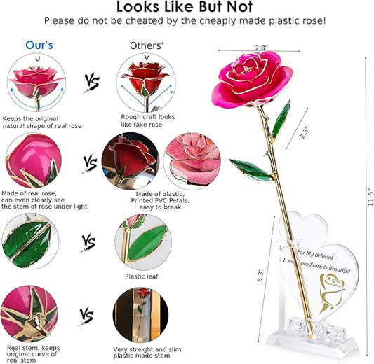 Sinvitron Gold Dipped Infinity Rose Forever Flower Decor, Resin Preserved Real Rose Birthday Gift for Women, Anniversary Present for Mom (Rose Red)
