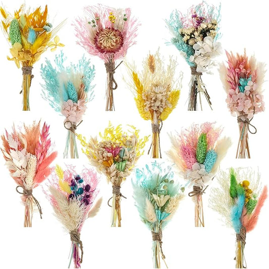 Layhit 12 Pack Boho Dried Flower Bouquet Mini Wedding Handmade Dry Flowers Decor for Vase Crafts DIY Photo Boutonniere for Men Floral Plant for Bridesmaid Gift Birthday Decor(Lively)