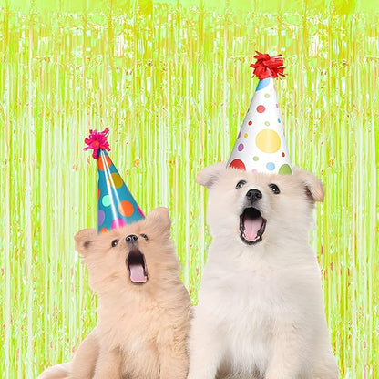 BRAVESHINE Iridescent Foil Fringe Backdrop - 2 Pack 3.2 x 6.5 ft Holographic Tinsel Curtain Party Streamers Photo Backdrop for Birthdays Dinosaur Theme Christmas Patricks Decorations - Clear Green