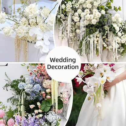 5Pcs Dried Amaranthus Hanging Flowers, Natural Preserved Flower for Wedding Arch, Exhibition, Wall Hanging Lover Tears, Floral Arrangement, Home Decor (White, 24")
