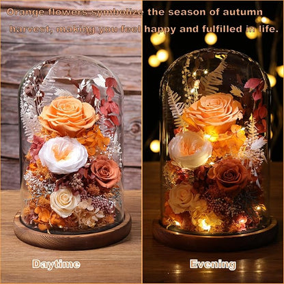 Flowers for Delivery Prime Preserved Flowers Rose in Glass Dome,Orange Rose Forever Flowers Birthday Gifts for Women Mom Grandma Friend Thanksgiving Gifts for Her,Home Decor