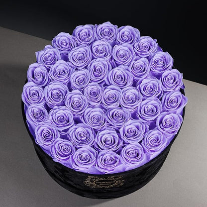 40 Pieces Preserved Roses in Suede Box, Flowers for Mothers Day, Preserved Flowers Gift for Women, Violet