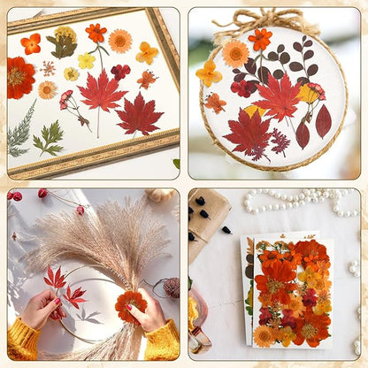Augshy Fall Dried Pressed Flowers,100 Pcs Autumn Dried Flowers Leaves for Resin Molds Real Pressed Flowers for Crafts DIY Jewelry Molds, Scrapbooking, Candle