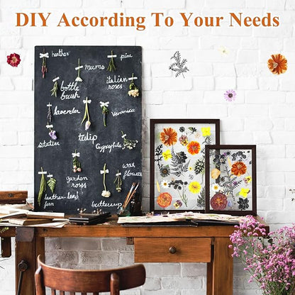 Nuanchu 167 Pcs Real Dried Pressed Flowers Natural Dried Flowers Colorful Daisy Mixed Wildflowers Leave for DIY Candle Resin Nails Jewelry Pendant Crafts Floral Art(Multicolor,Scary Style)