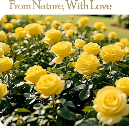 16 Preserved Flowers Rose Birthday Gifts for Women Her Mom Wife Girlfriend Grandma on Valentines Mothers Day Christmas Anniversary Romantic(Yellow)