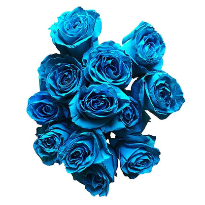 Fresh Cut Tinted Turquoise Roses from Flower Explosion - 24 Stems