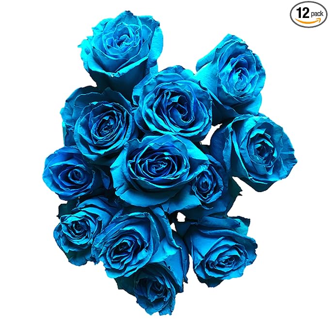 Fresh Cut Tinted Turquoise Roses from Flower Explosion - 12 Stems