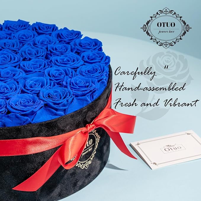 40 Real Preserved Roses in Suede Box Forever Roses Last Up to 3 Years, Flowers for Delivery Prime, Mother’s Day, Birthday, Christmas - Blue