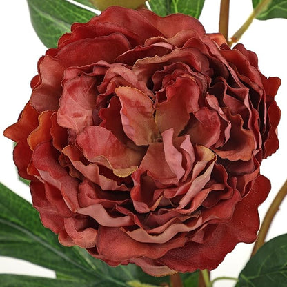 Briful 3 Pack Artificial Peony Flower 27.5" Tall Brick Red Silk Peonies Floral Stems Real Touch Faux Peony Flower for Wedding Bouquets Home Floral Arrangements Table Centerpieces DIY Décor