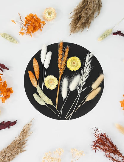 DIY Dried Flower Set, Bulk Dried Flowers,Autumn Decoration, DIY Bouquet Set, Door Hanging Wreath, Desktop Decorations Mini Dried Flowers (Orange)