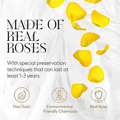 GLAMOUR BOUTIQUE Flower Forever Gift Box 12 Real Preserved Roses in Round Velvet White Box, Handmade, Rose Petals, Birthday, Marriage, Anniversary, Graduation - Yellow