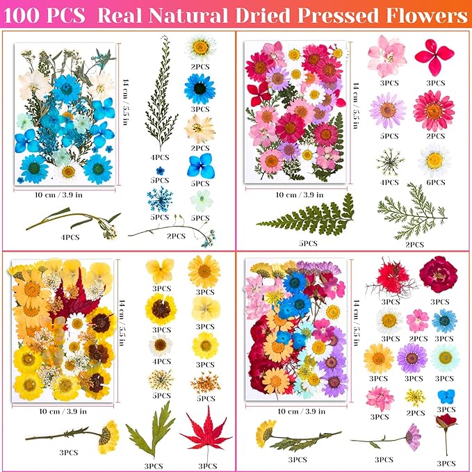 Real Dried Pressed Flowers for Resin, Natural Dry Flowers Leaves Bulk Herbs Kit for DIY Scrapbooking Stamping Supplies Epoxy Resin Jewelry Molds Candle Soap Making Nails Décor Art Crafts