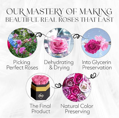 GLAMOUR BOUTIQUE Eternal Preserved Roses in a Box - Flowers Forever, Rose Forever in a Box for Wife, Birthday Gifts for Her, 7 Roses, Pink