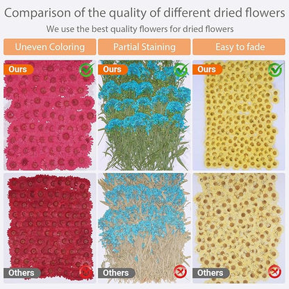 146Pcs Dried Pressed Flowers for Crafts,Xinxinran Dry Flowers Kit for Resin Molds,Epoxy Resin Accessories,Bookmark,Nails, Jewelry Molds,Candle Making Supplies,Soap,Frame