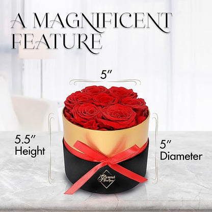 GLAMOUR BOUTIQUE Eternal Preserved Roses in a Box - Flowers Forever, Rose Forever in a Box for Wife, Birthday Gifts for Her, 7 Roses, Red