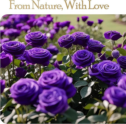 27 Preserved Flowers Rose Birthday Gifts for Women Her Mom Wife Girlfriend Grandma on Valentines Mothers Day Christmas Anniversary Romantic(Purple)