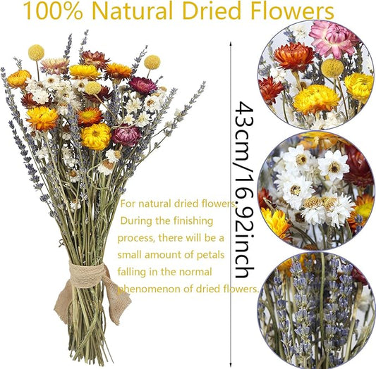 Dried Daisy Flowers Bouquet Natural Lavender Bundles Dried Gerber Daisies Craspedia Flowers Dried Daisies Multicolor Floral Arrangements for Wedding Party Table Centerpiece Decor Farmhouse DIY