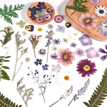 80PCS Natural Color Pressed Dried Flowers Dry Leaves with Tweezers - Real Pressed Flowers for DIY Crafts, Resin Jewelry, Cards, Soap, CandleMaking, Nail Art, and Scrapbooking (Natural Color)