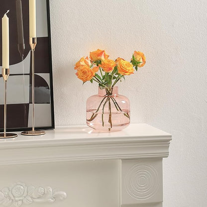 Pink Glass Vase, Short Flower Vase, Round Glass Vases for Flowers, 6 Inch Small Glass Vases for Living Room, Dining Table, Wedding, Bookshelf, Office, Coffee Table