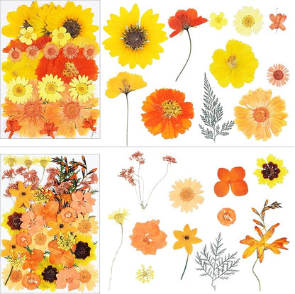 111Pcs Orange Dried Pressed Flowers for Crafts,Xinxinran Fall Dry Flowers Kit for Resin Molds,Epoxy Resin Accessories,Bookmark,Jewelry Molds,Candle Making Supplies,Soap,Frame