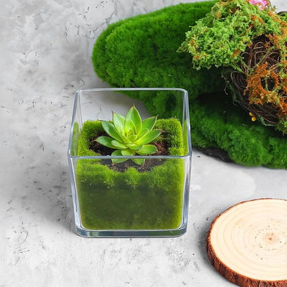 6 Pcs Square Acrylic Vase 4" x 4" Plastic Flower Acrylic Vases for Centerpieces Plastic Vase Cube Bulk Succulent Pots Planter Clear Square Vases for Centerpieces Plant Wedding Home Office Floral Decor