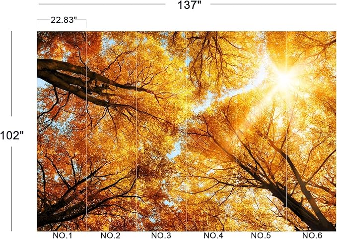 Cliouar-Warm Autumn Sun Shines Through The Golden Crowns of Tall Beech Trees Peel and Stick 137" x 102"
