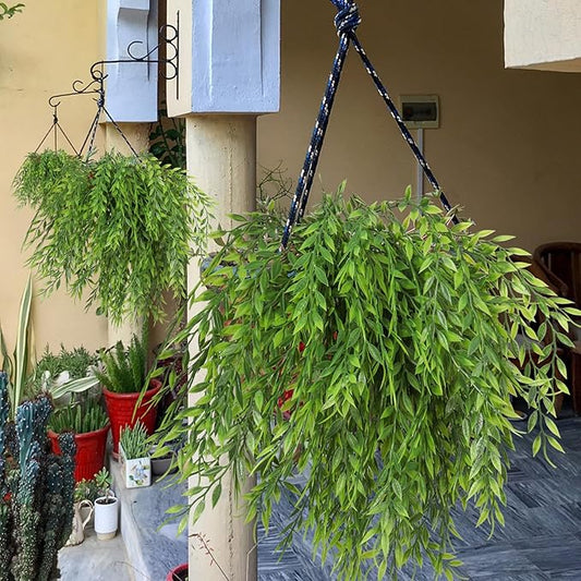 RECUTMS Artificial Weeping Willow 6Pcs,Plastic Leaves Twig Plants Greenery Fake Hanging Ivy Garland UV Resistant for Indoor Outdoor Home Garden Wall Baskets Wedding Party Table Planter Filler Decor