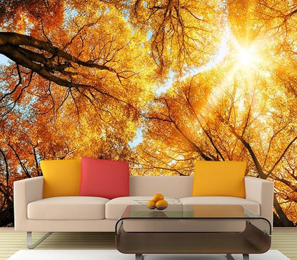 Cliouar-Warm Autumn Sun Shines Through The Golden Crowns of Tall Beech Trees Peel and Stick 160" x 114"