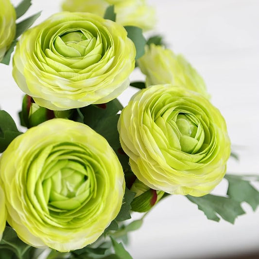 Artificial Ranunculus Flowers with Real Touch Stem,Silk Ranunculus Flowers (Green, 6pcs)