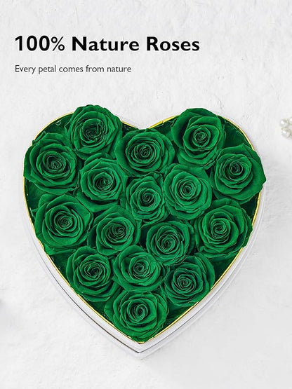 Eterfield Forever Flowers in Heart Shape Box, Preserved Roses That Last a Year Preserved Flowers Birthday Gifts for Her Mom Women Wife Anniversary Valentines Day Mothers Day (16 Roses, Blackish Green)
