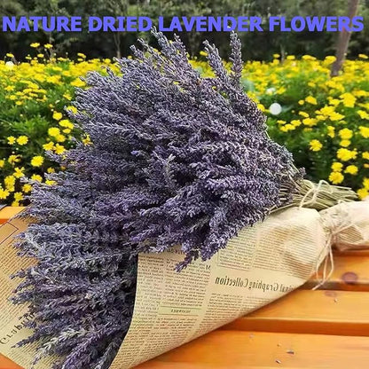 6 Packs Natural Dried Lavender Flowers Bouquet with Stems (14-17 Inches, 540-600 Stems Total) - Home Fragrance for Drawers, Wedding Decor & Photography Props, DIY Crafts Supplies & ,Gifts for Her