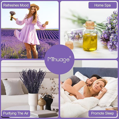 Dried Preserved Lavender Flowers - 2 Bundles with 3.5oz for Home Decor, DIY Arrangements, Photo Props, & Fragrance - 15"-17", Purple Lavender Bunches.