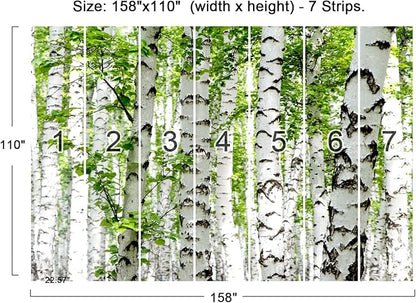 Cliouar-Photo Wallpaper Birch Forest Landscape Trees Poster Nature Lovers Green Forest Bedroom Decoration Mural 158"x110"(Not Self-Adhesive)