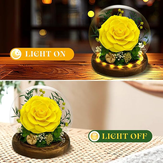 Preserved Rose Forever Flowers in Glass - Birthday Gifts for Women Mom, Real Flowers for Delivery Prime | Rose Gift for Grandma Wife Sister Friend (Yellow)