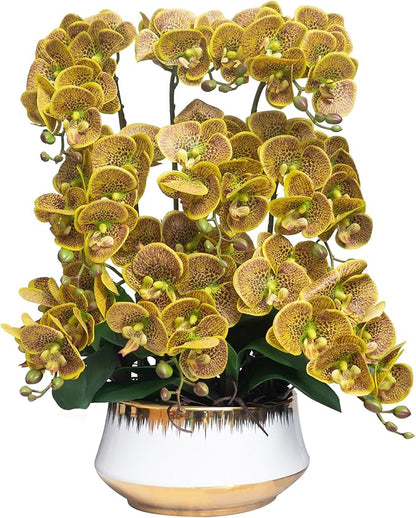 CXGS Orchids Artificial Flower Real Touch Faux Orchid in Large Ceramic Vase 23.6'' Realistic YellowSpots Fake Phalaenopsis Floral Arrangements Centerpiece Table Home Indoor Decor