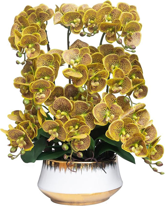 CXGS Orchids Artificial Flower Real Touch Faux Orchid in Large Ceramic Vase 23.6'' Realistic YellowSpots Fake Phalaenopsis Floral Arrangements Centerpiece Table Home Indoor Decor