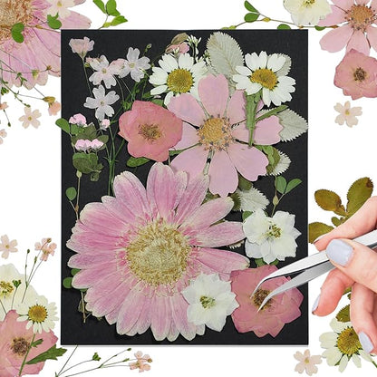 CONVELIFE Pink Dried Pressed Flowers, Real Nature Flowers with Tweezers, Pressed Flowers for Resin DIY Jewelry Candle Soap Vase Making Nail Card Scrapbook Art Craft Floral Decors