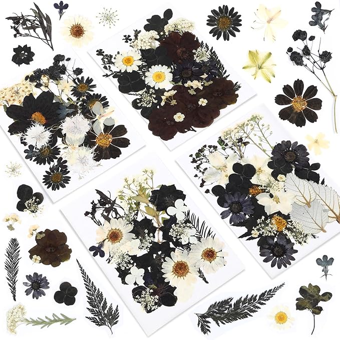 Augshy Black Dried Pressed Flowers, 120 Pcs Halloween Dried Flowers for Resin Molds Real Pressed Flowers for Crafts DIY Jewelry Molds, Scrapbooking, Candle, Soap Making
