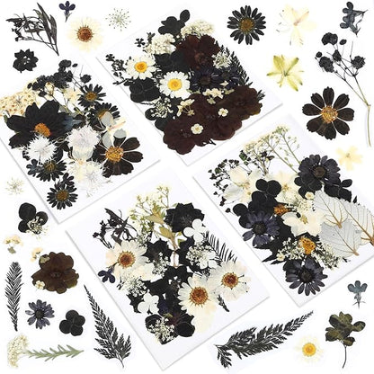 Augshy Black Dried Pressed Flowers, 120 Pcs Halloween Dried Flowers for Resin Molds Real Pressed Flowers for Crafts DIY Jewelry Molds, Scrapbooking, Candle, Soap Making