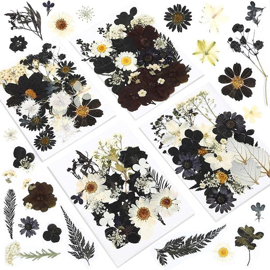 Augshy Black Dried Pressed Flowers, 120 Pcs Halloween Dried Flowers for Resin Molds Real Pressed Flowers for Crafts DIY Jewelry Molds, Scrapbooking, Candle, Soap Making