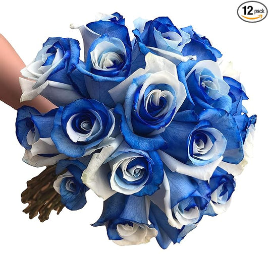 Fresh Cut Tinted Blue and White Roses from Flower Explosion -12 Stems