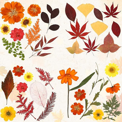Augshy Fall Dried Pressed Flowers Orange Pressed Fall Leaves for Crafts Resin Molds Real Red Brown Yellow Pressed Leaves for Scrapbooking, Epoxy Resin Supplies