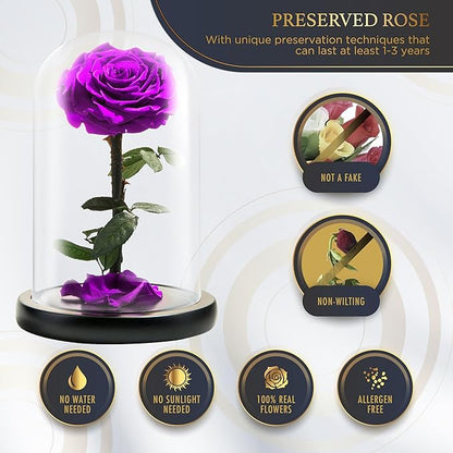 Forever Preserved Rose - Eternal Rose in Glass Dome - Beauty and The Beast Rose for Mom - Fresh Flowers for Delivery Prime (Purple, 9 Inch)