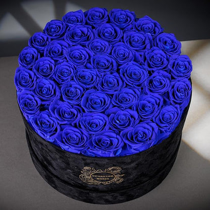 40 Pieces Preserved Roses in Suede Box, Flowers for Mothers Day, Preserved Flowers Gift for Women, Royal Blue