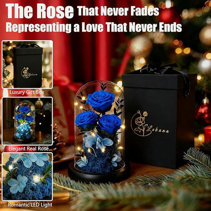 Birthday Gifts for Women Mom Fresh Flowers for Delivery Prime Forever Preserved Rose in Glass Dome Gifts for Her Girlfriend Grandma Daughter Wife Valentines Mothers Day Christmas Anniversary-Blue