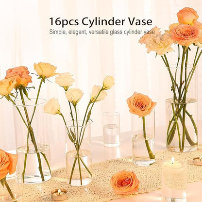 16 Pack Glass Cylinder Vases 4, 6, 8, 10 Inch Tall Clear Flower Vases for Table Centerpieces Wedding Decoration, Hurricane Floating Candle Holder for Party Home Decor