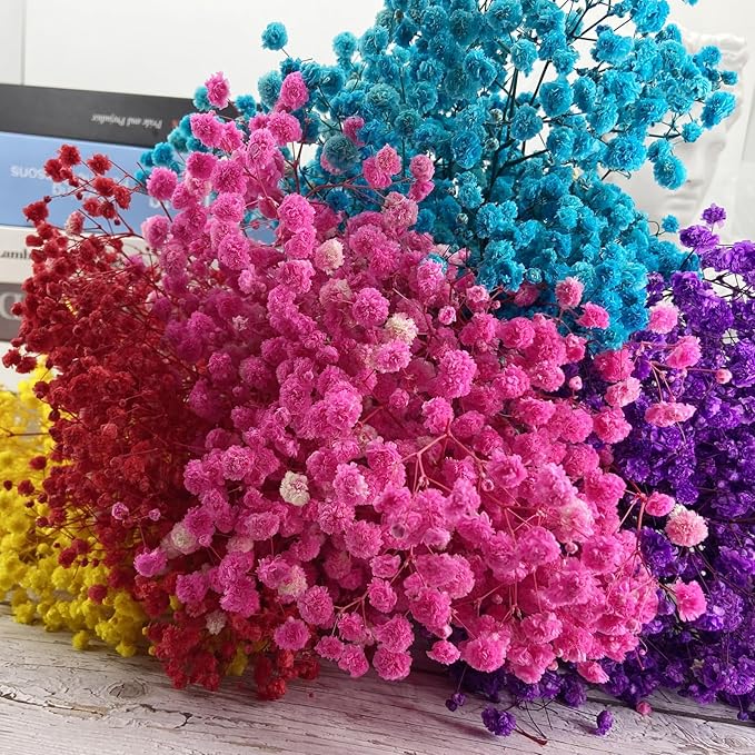 Birtlynn Preserved Baby's Breath, 100% Natrual Gypsophila Long Lasting Flowers for Vase Arrangements Home Decoration Photo Props Parties and Weddings, DIY Décor-Red