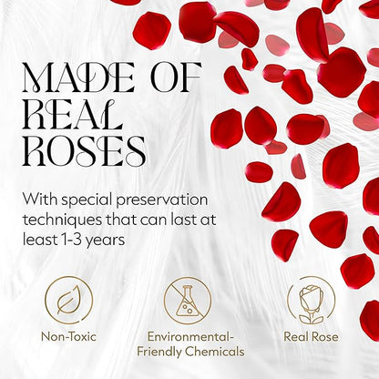 GLAMOUR BOUTIQUE Flowers Forever in a Box 12 Preserved Roses in Velvet Box, Birthday, for Women, Eternal Rose for Wife, Mom Flower - Red