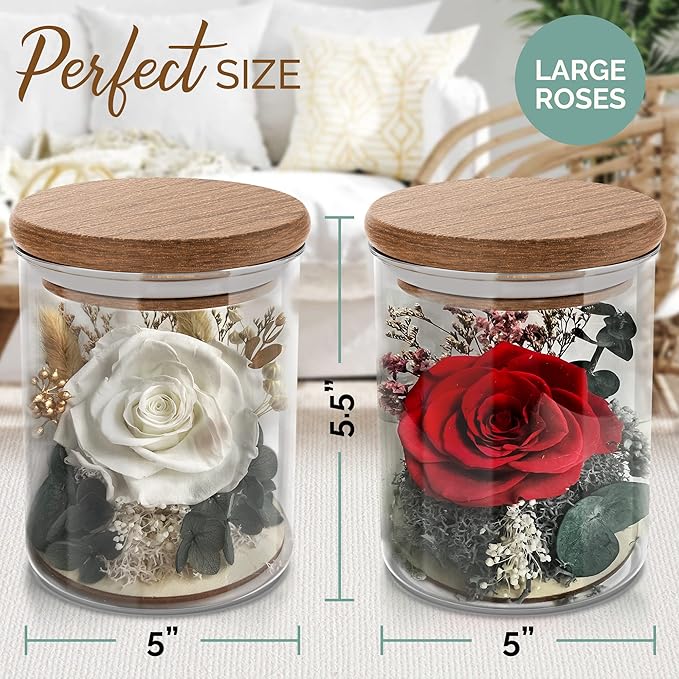 White Rose in a Glass Dome - Premium Real Roses that Last a Year or More - Mother's Day Unique Gifts For Her Preserved Roses - Forever Flower Decor Preserved Flowers - Eternal Rose Display