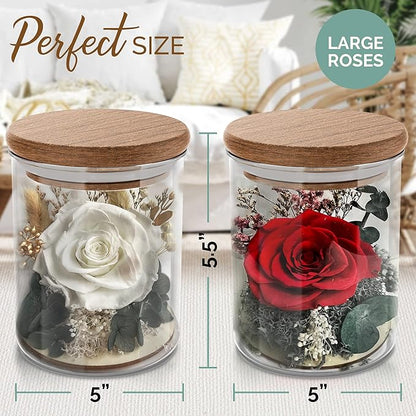 White Rose in a Glass Dome - Premium Real Roses that Last a Year or More - Mother's Day Unique Gifts For Her Preserved Roses - Forever Flower Decor Preserved Flowers - Eternal Rose Display